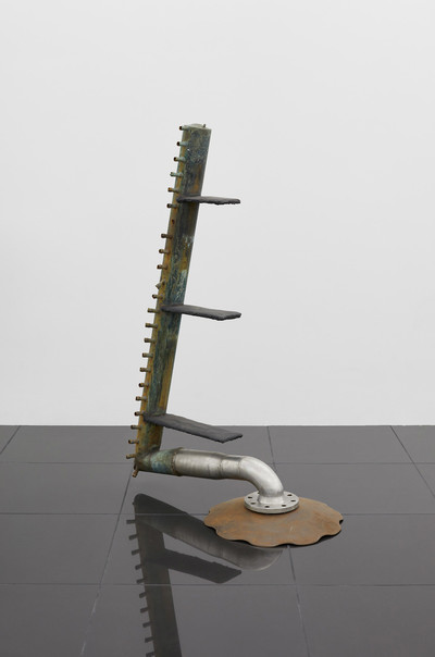 Dozie Kanu: Cordyceps - © naima