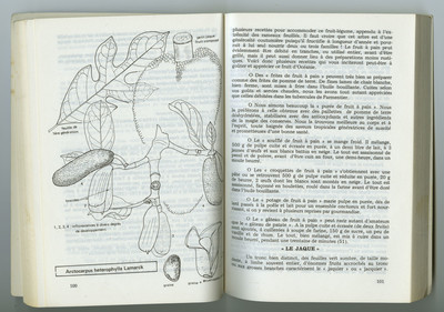 Fabien Vilrus: Unpublished Archive - © naima