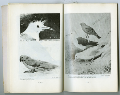 Fabien Vilrus: Unpublished Archive - © naima