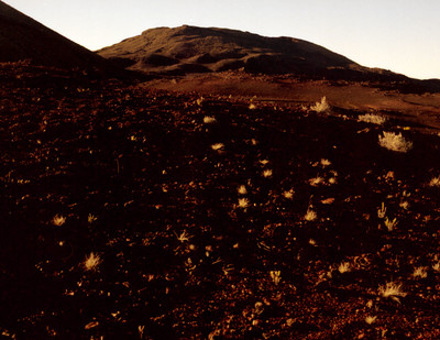 Fabien Vilrus: Unpublished Archive - © naima