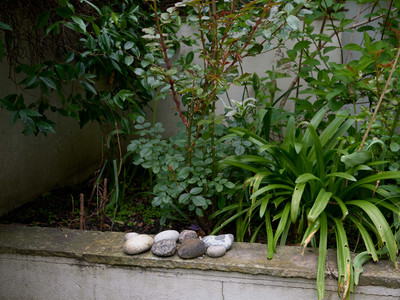 Adam Thirlwell: Toward a Future Future - © naima