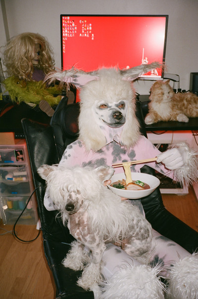 Claudia Mate: Chaos Archive - © naima