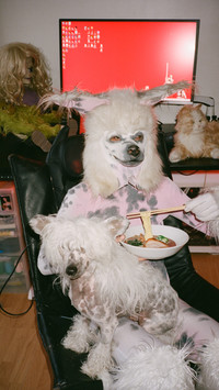 Claudia Mate: Chaos Archive - © naima