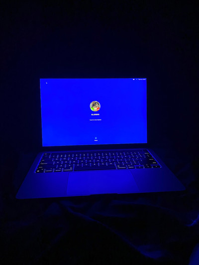 Danni Harris: Homebody - © naima