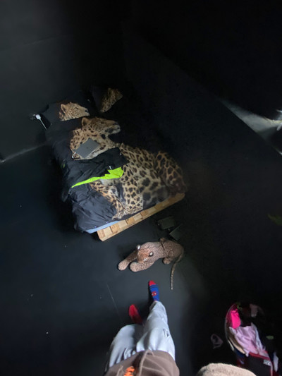 Danni Harris: Homebody - © naima