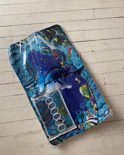 Danni Harris: Homebody - © naima