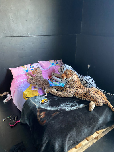 Danni Harris: Homebody - © naima