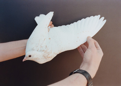 Pat McCarthy: Pigeon House - © naima