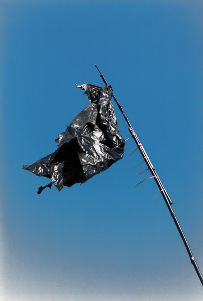 Pat McCarthy: Pigeon House - © naima