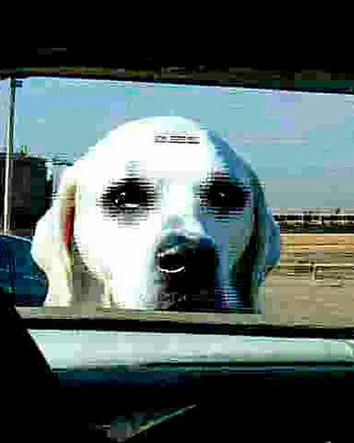 Vittorio Maria Dal Maso: Artificial Man and His Symbols - © naima