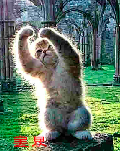 Vittorio Maria Dal Maso: Artificial Man and His Symbols - © naima