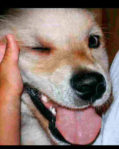 Vittorio Maria Dal Maso: Artificial Man and His Symbols - © naima