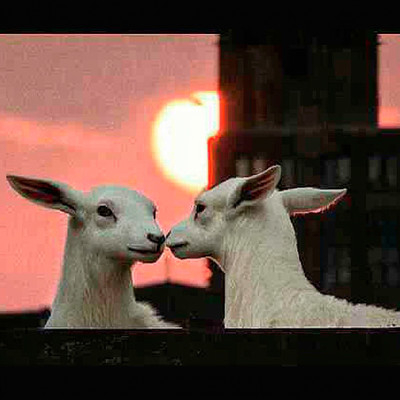 Vittorio Maria Dal Maso: Artificial Man and His Symbols - © naima