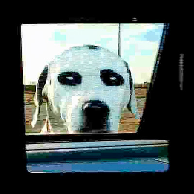 Vittorio Maria Dal Maso: Artificial Man and His Symbols - © naima