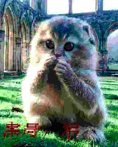 Vittorio Maria Dal Maso: Artificial Man and His Symbols - © naima