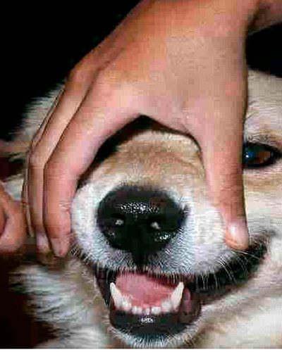 Vittorio Maria Dal Maso: Artificial Man and His Symbols - © naima