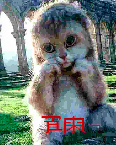 Vittorio Maria Dal Maso: Artificial Man and His Symbols - © naima