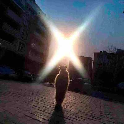 Vittorio Maria Dal Maso: Artificial Man and His Symbols - © naima