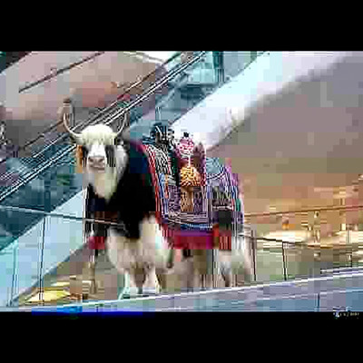 Vittorio Maria Dal Maso: Artificial Man and His Symbols - © naima