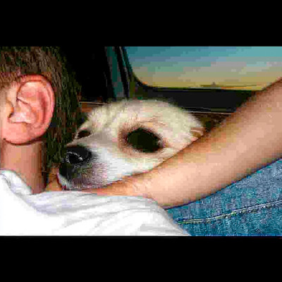 Vittorio Maria Dal Maso: Artificial Man and His Symbols - © naima