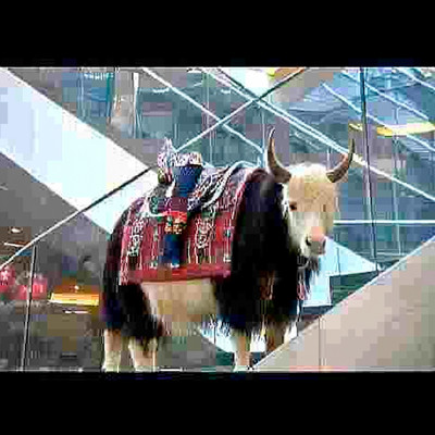 Vittorio Maria Dal Maso: Artificial Man and His Symbols - © naima